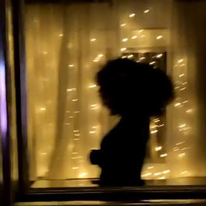 Meet your Posher, Delilah